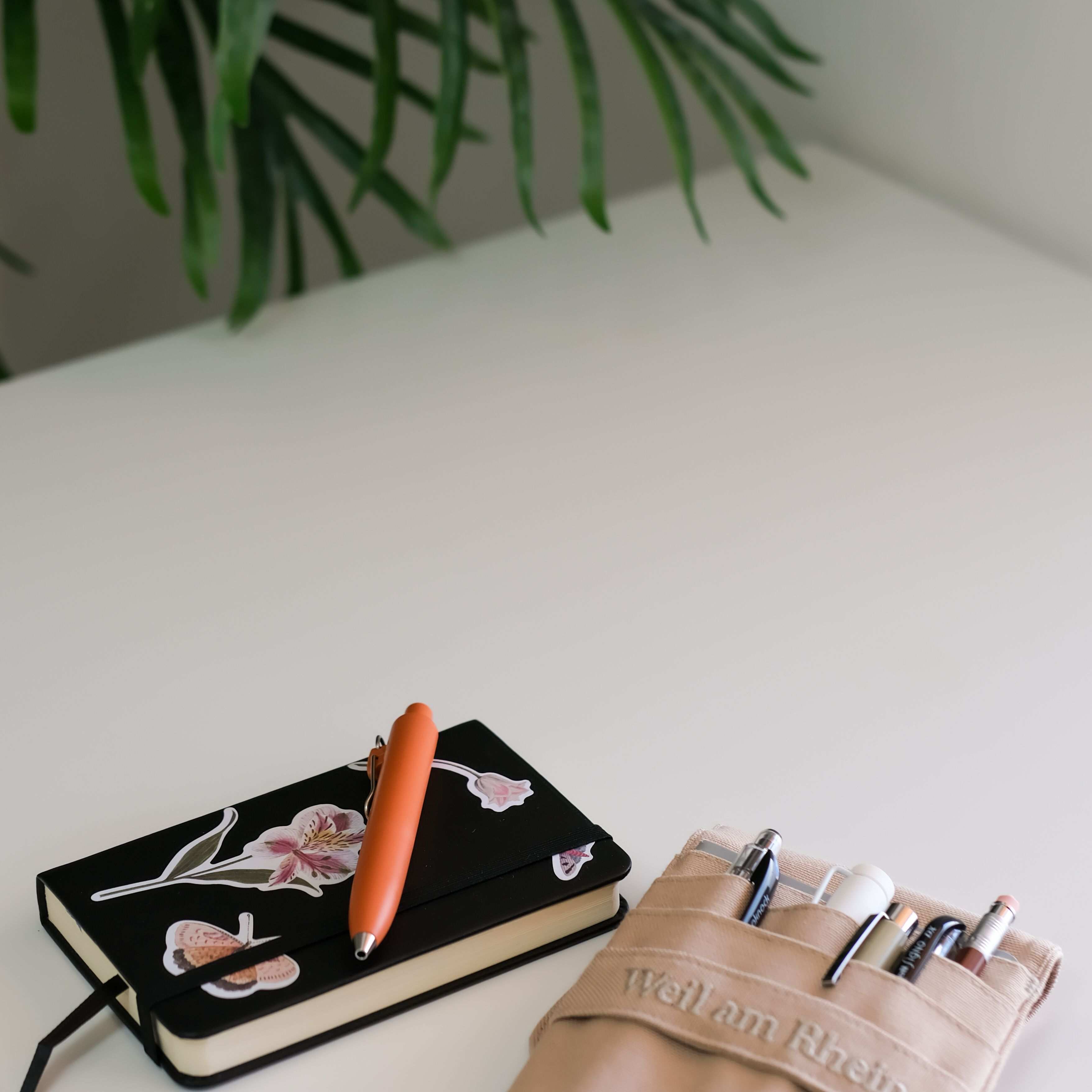 Paper documents and a pen on a desk